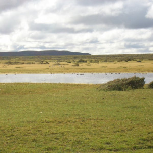 CIMG2543