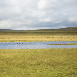 CIMG2544