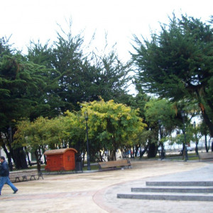 CIMG2559