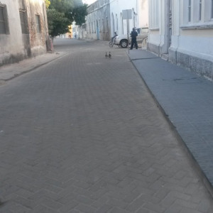 20150429_161844