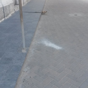 20150429_131552