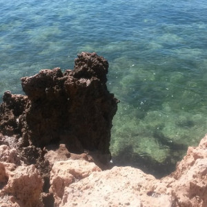 20150427_120549