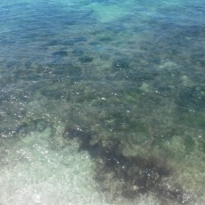 20150427_115714