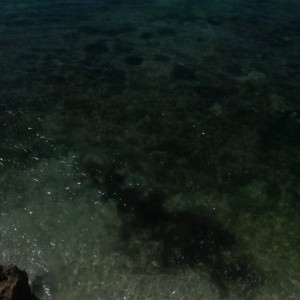 20150427_115706