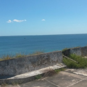 20150427_115017