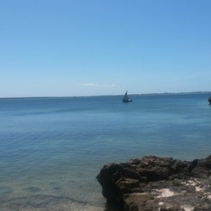 20150427_114317