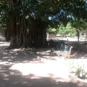 20150427_113756