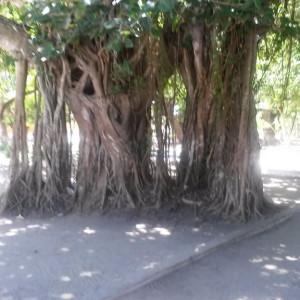 20150427_113712