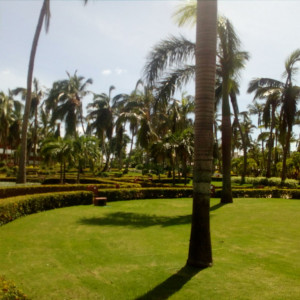 IMG_20170925_190814