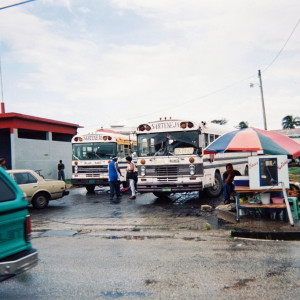 F1000015