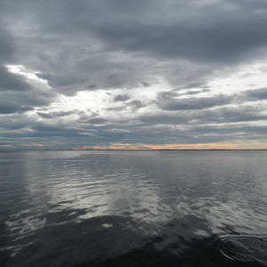 P3070202