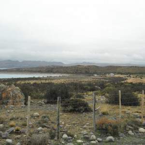 P3100281