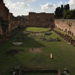 Palatino