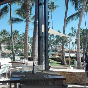 Restaurante Windows