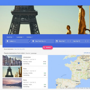 Googleflight0