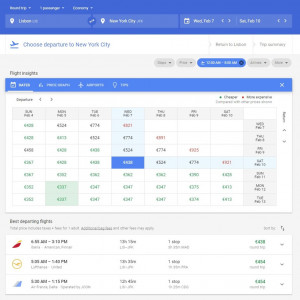 Googleflight1