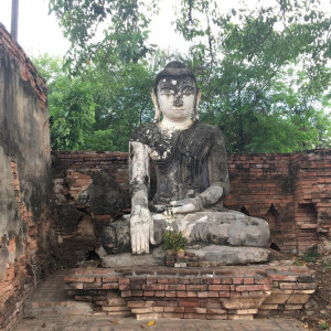 IMG_5506
