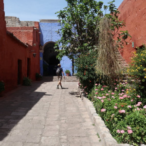Arequipa