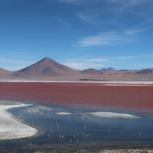 Laguna Colorada