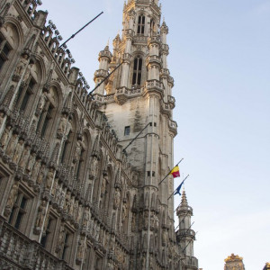 Belgica09