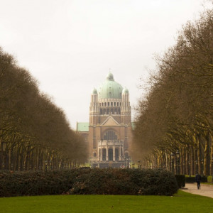 Belgica21