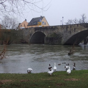 29 Echternach