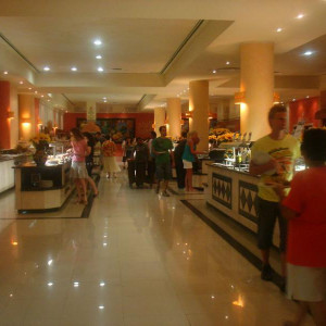 DSC02293 (2)
