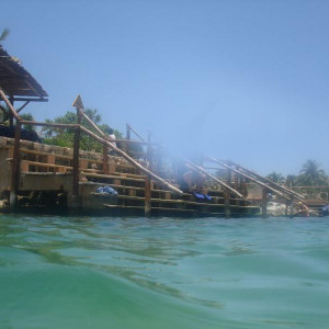 DSC02497