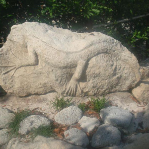 DSC02605