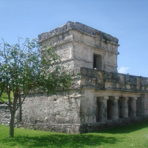 DSC02645
