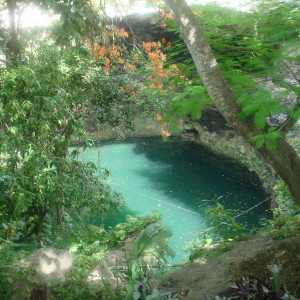 DSC03023