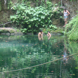 DSC03030