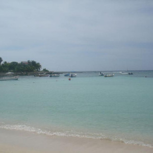 DSC03234