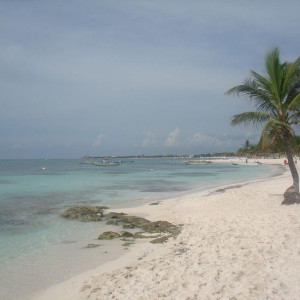 DSC03235