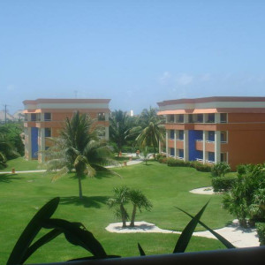 DSC03524