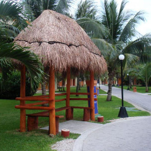 DSC04202