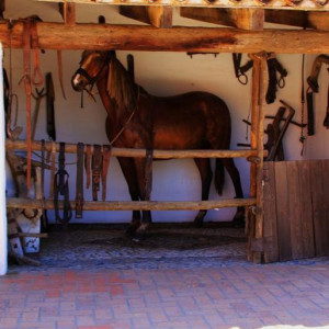 ANDALUZIA 2012 618