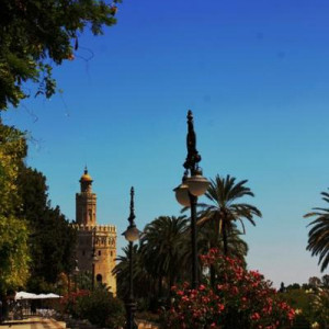 ANDALUZIA 2012 1057