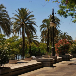 ANDALUZIA 2012 1072