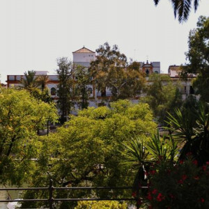 ANDALUZIA 2012 1201