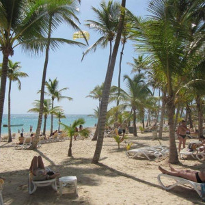 vista ao chegar à praia (as palmeiras dão um aspeto muito natural)
