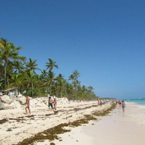 Praia (onde se vêem as algas que, nesta altura do ano, cobriam a restinga)