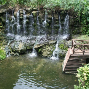 Cascata à entrada do buffet
