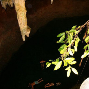 Cenote tamcach