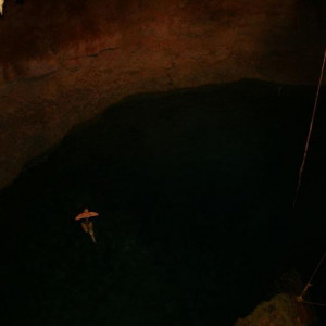 Cenote tamcach