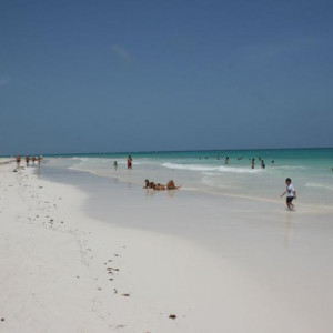 Playa el Paraiso