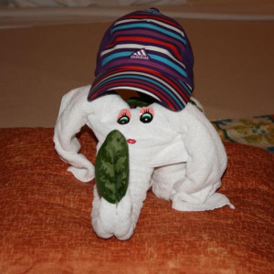 O meu boneco do quarto com o meu boné...lol...ladrão....::::)))))