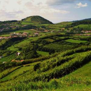 Açores 1 156