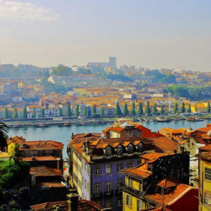 TOUR PORTO 1 117