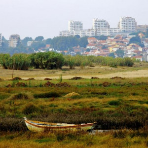 tour porto 3 395